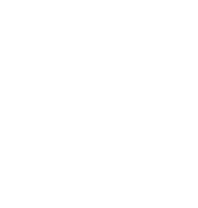 Morgan Wealth