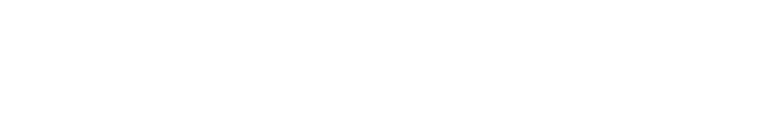 Barnes Wealth Management Group