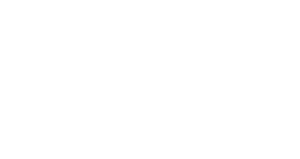 Bloom Wealth Advisors