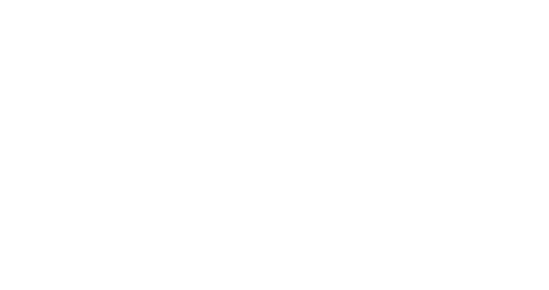 Bloom Wealth Advisors