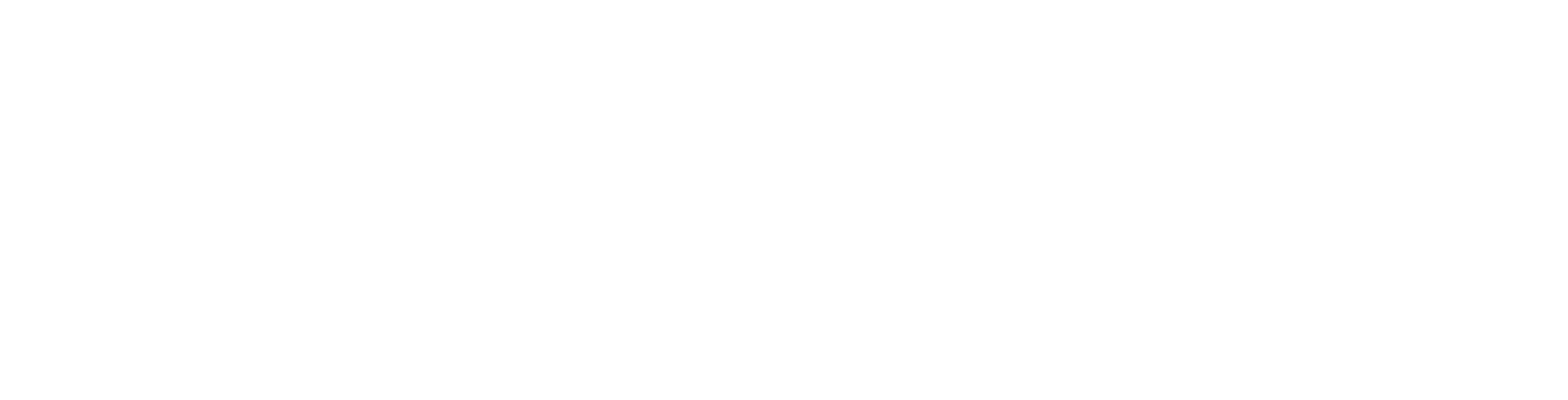 Wolf Money Management