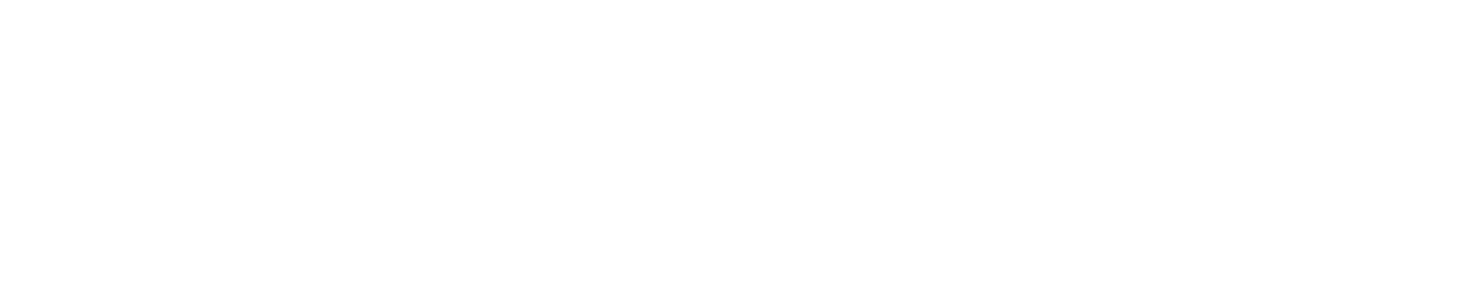 Oakeson Steiner Wealth & Retirement