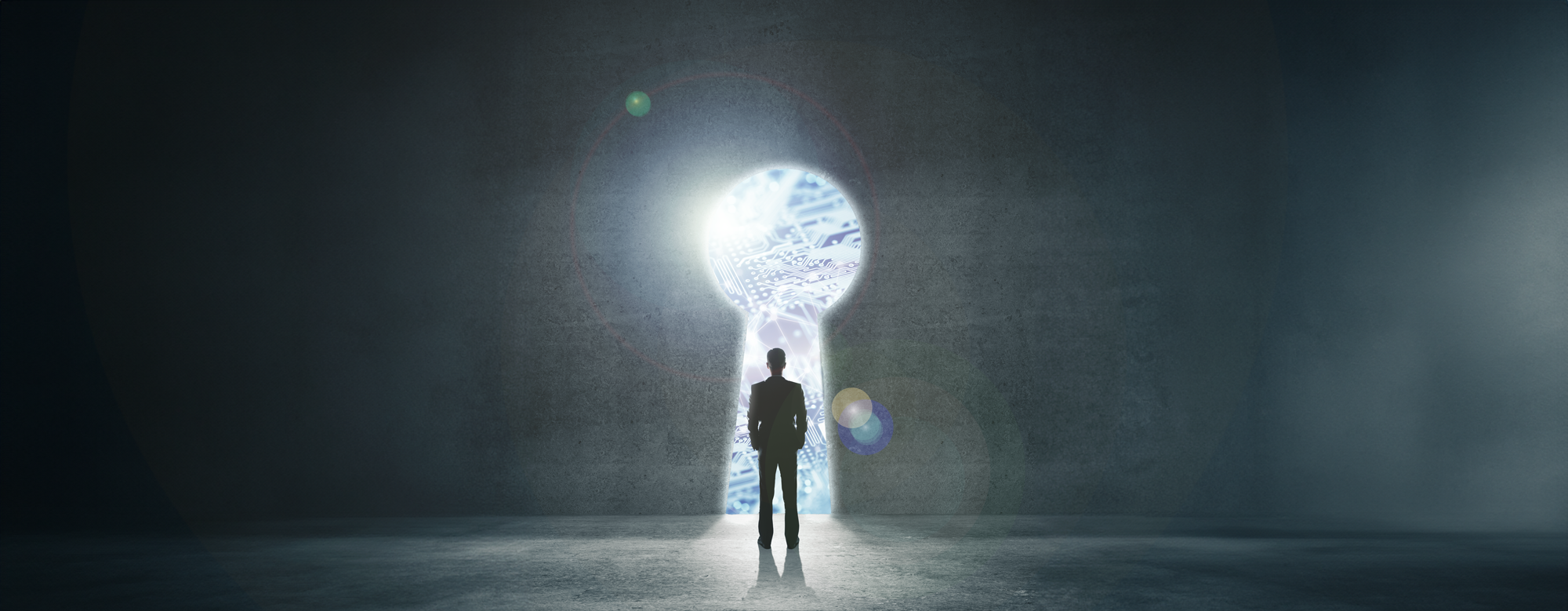Carson Research 2024 Market Outlook Seeing Eye to Eye