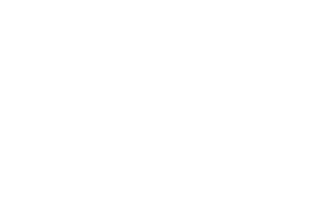 Shane Hall Financial