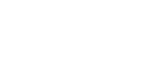Lotus Bridge Wealth Management