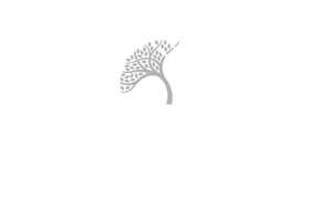 Twin Pines Wealth Management