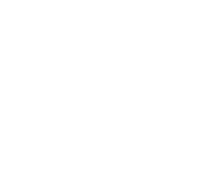 Hollar Wealth