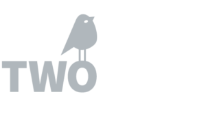 Two Bird Wealth Strategies