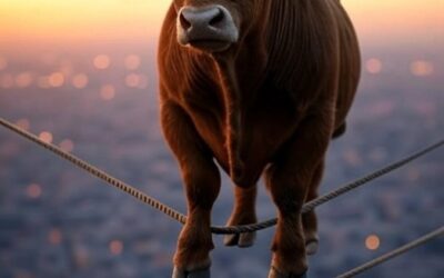 Why You Shouldn’t Be Scared of Heights