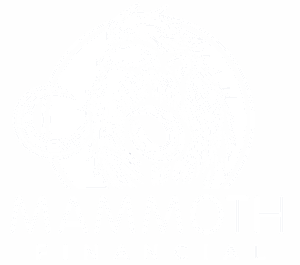 Mammoth Financial