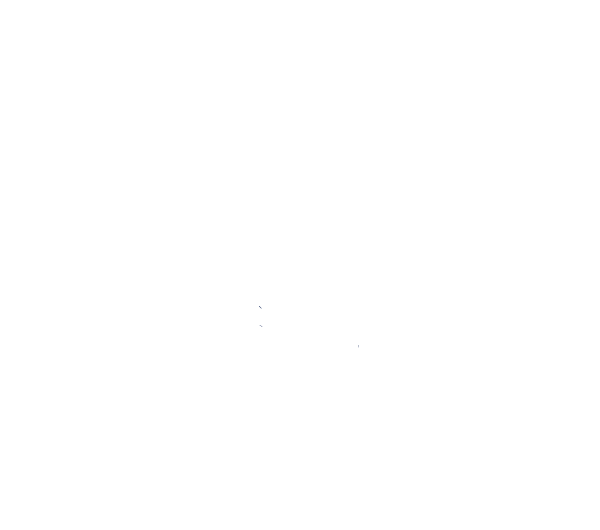 Mammoth Financial