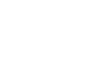Wells-Trecaso | Carson Wealth