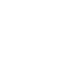 Bixler Financial
