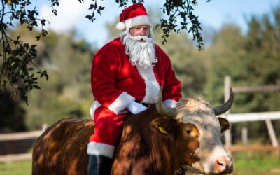 No Santa, No Problem