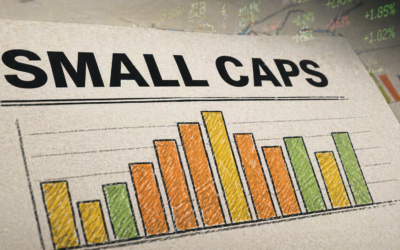 Small Cap Surprise